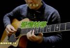 【下载】琴歌吉他《爱情转移-民谣吉他指弹独奏谱》高清PDF+教学视频