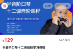 【下载】《半音阶口琴十二调音阶课程》视频